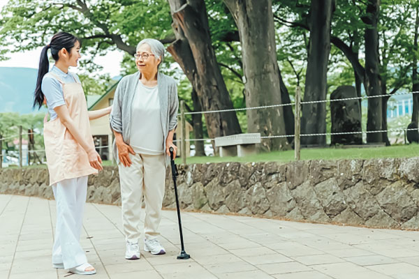 フォレスト写真